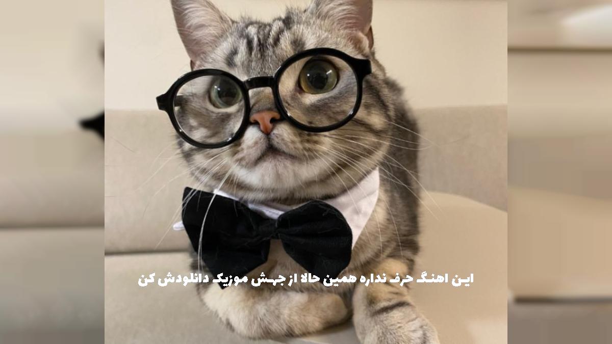 دانلود آهنگ مه هامه پشت فرمان دلبریش ها لای دسم (ریمیکس) از احسان امیدوار